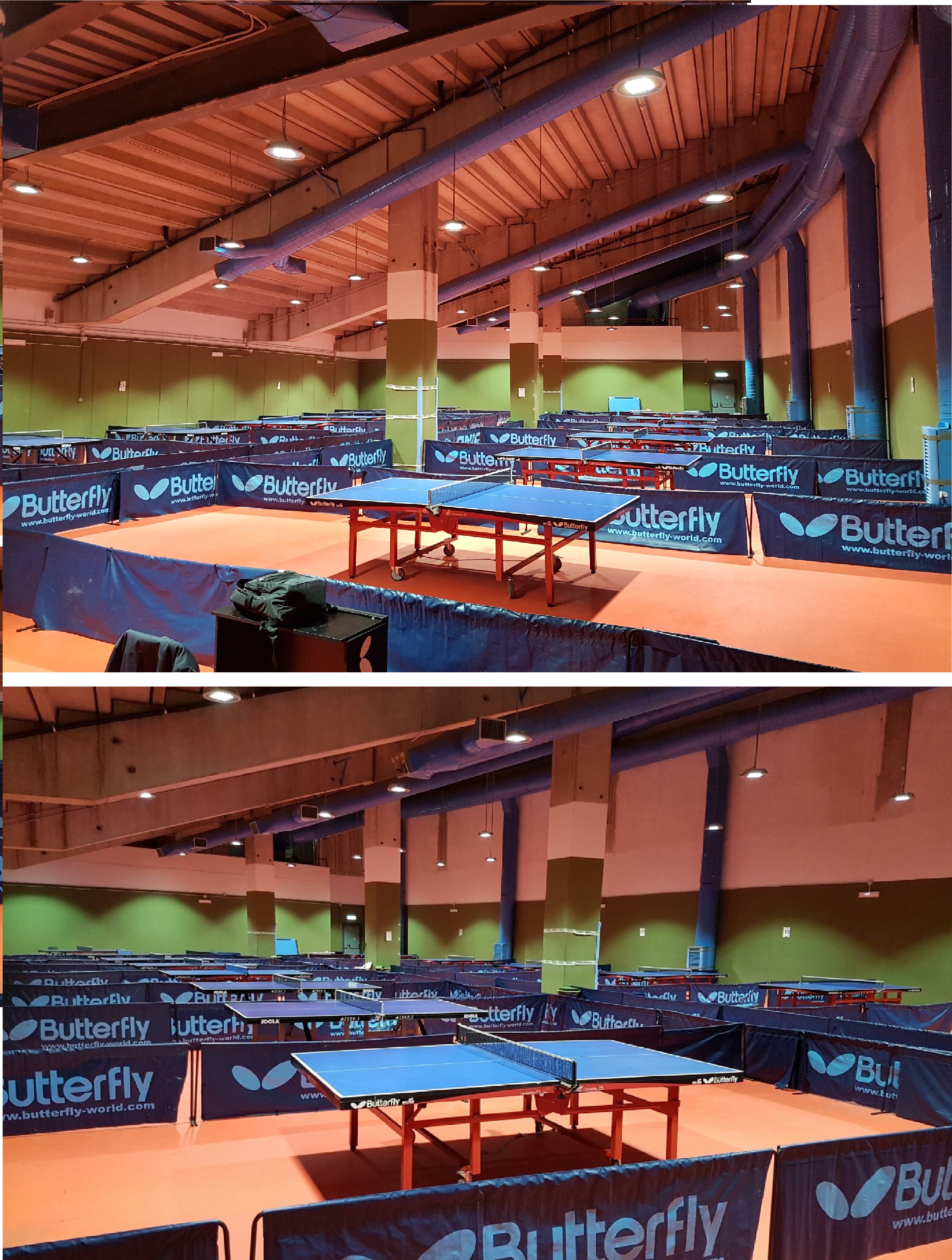 Palestra Olimpico Marzo 2017